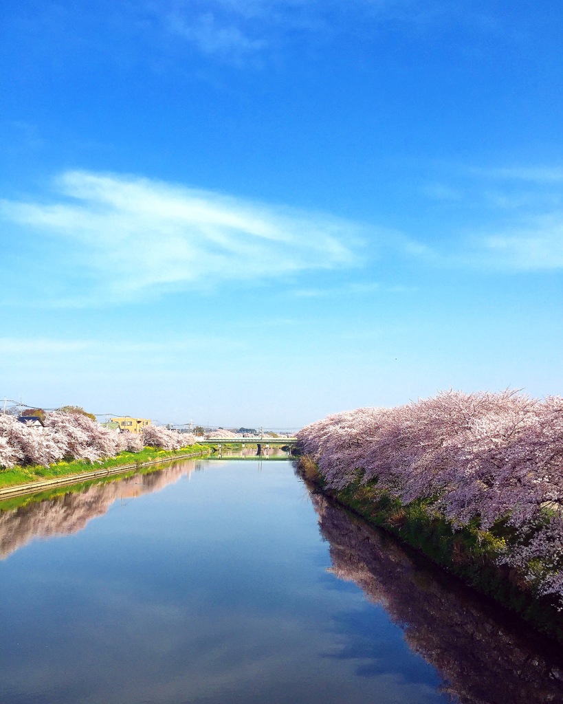 元荒川