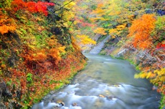 秋の川