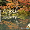紅葉の季節（２）