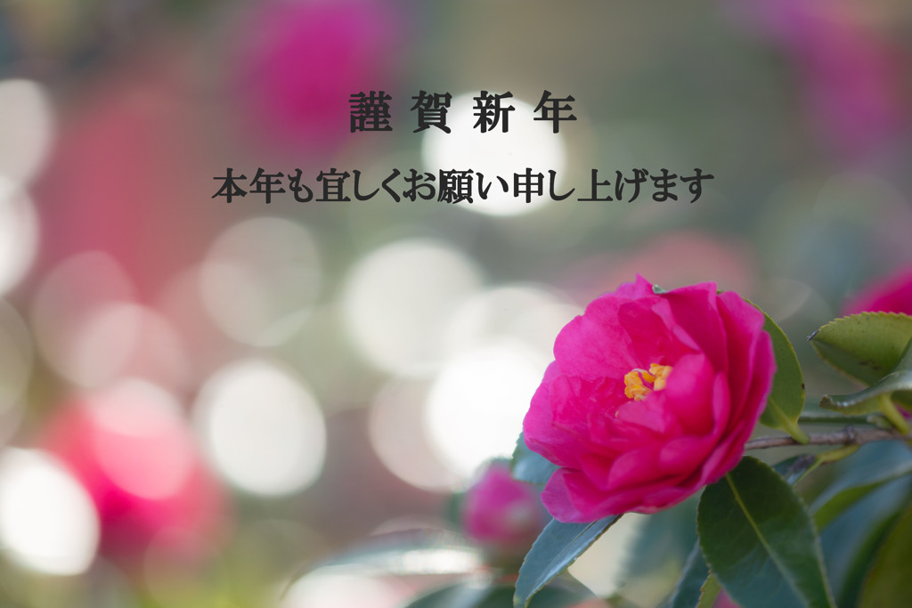 平成31年元旦