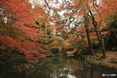 紅葉・晩秋（２）