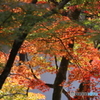 紅葉の季節（４）