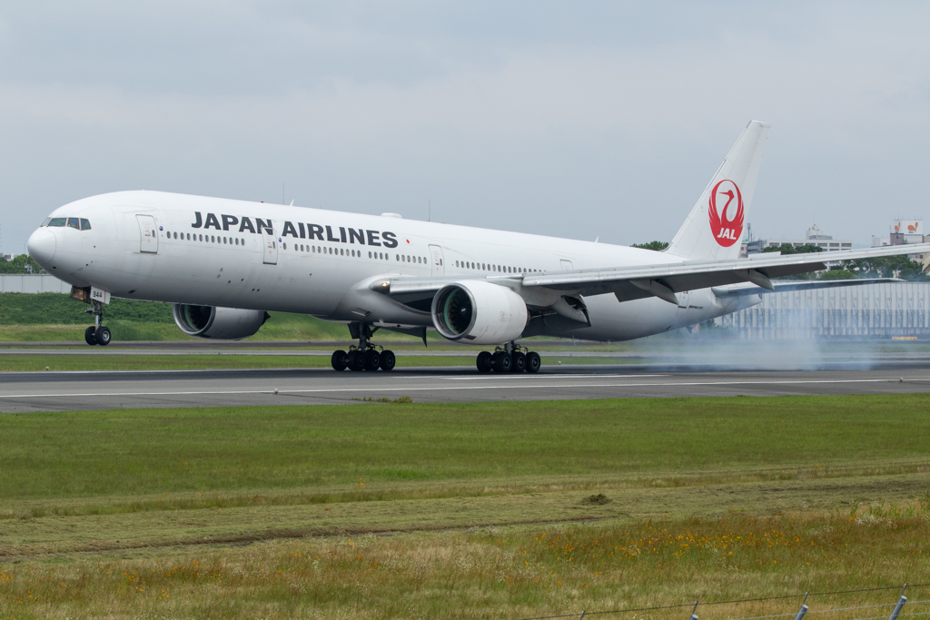Arrival（１）