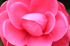 宴