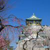 桜・大阪城