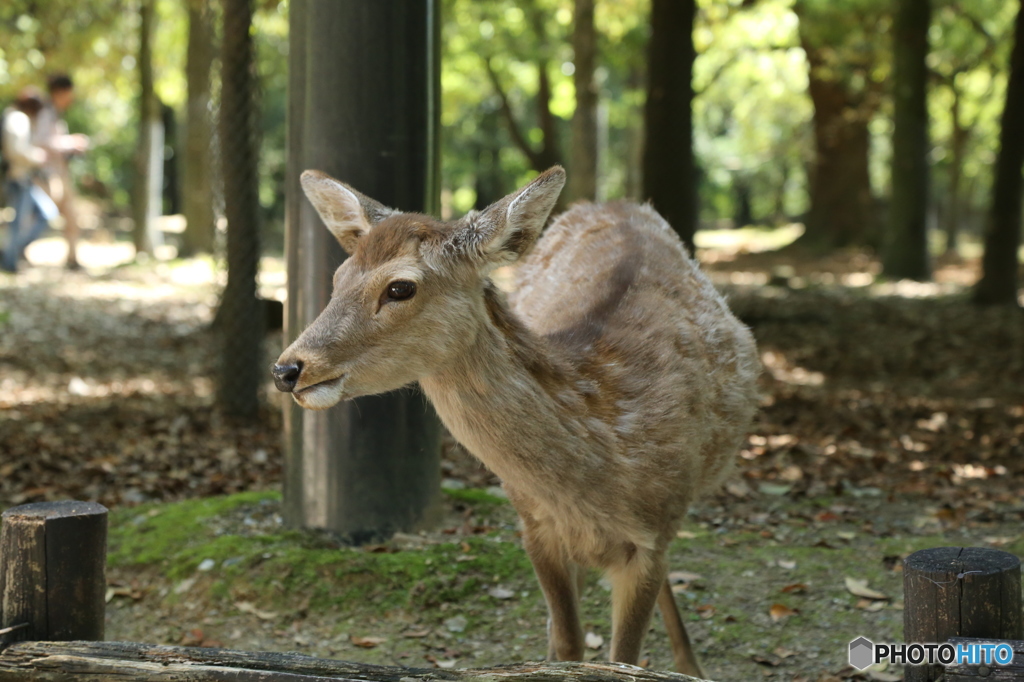 お腹すいた