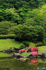 日本庭園にて