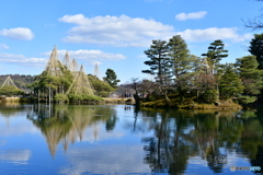  兼六園 唐崎松と蓬莱島