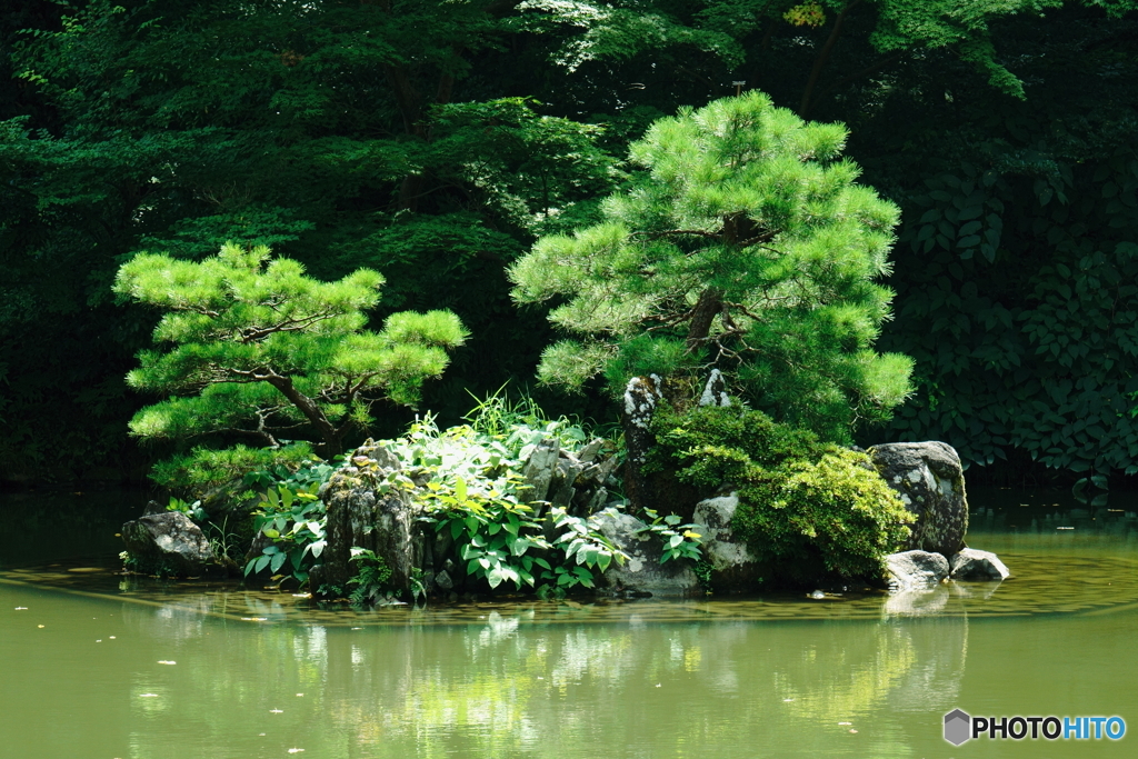 兼六園瓢池