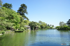 兼六園 霞ケ池