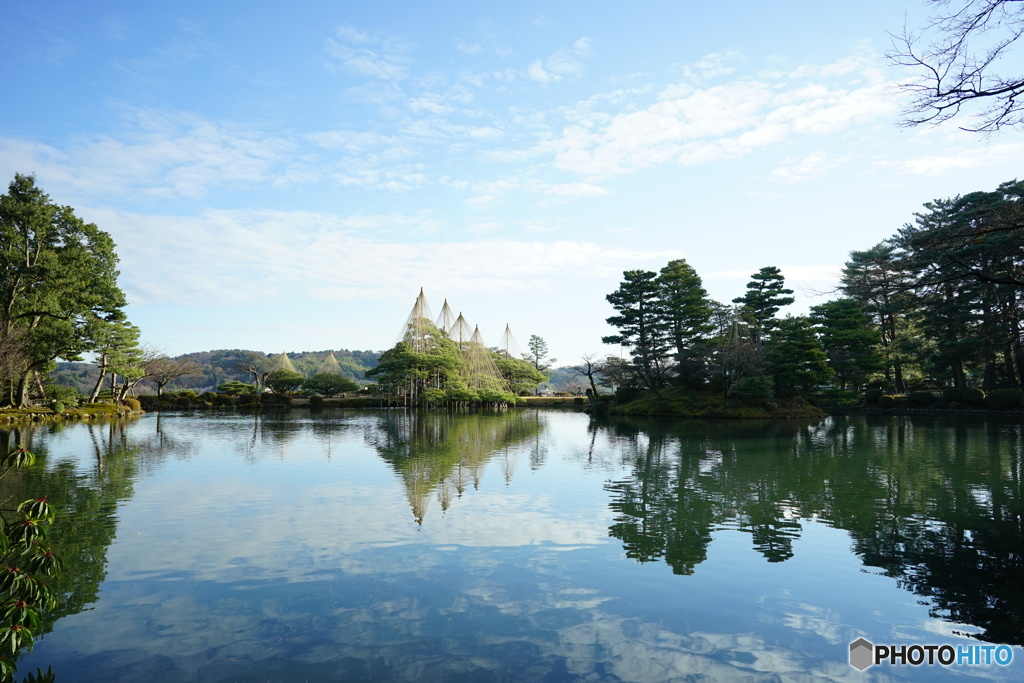  兼六園唐崎松