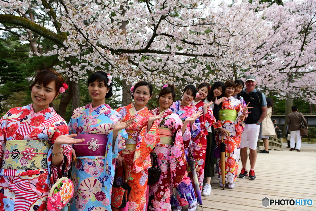  兼六園 桜に着物