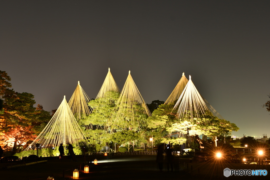  兼六園ライトアップ