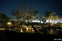兼六園亀甲橋2