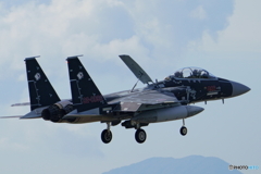 F15