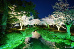 兼六園ライトアップ