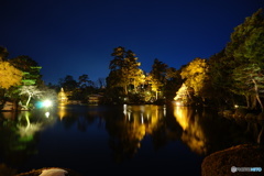  兼六園ライトアップ