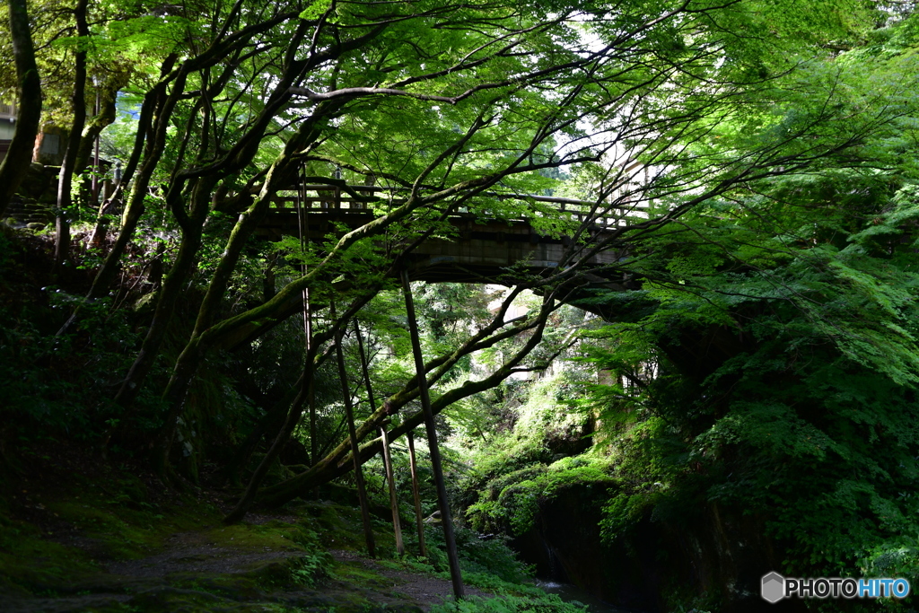  山中温泉こおろぎ橋