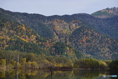  大正池