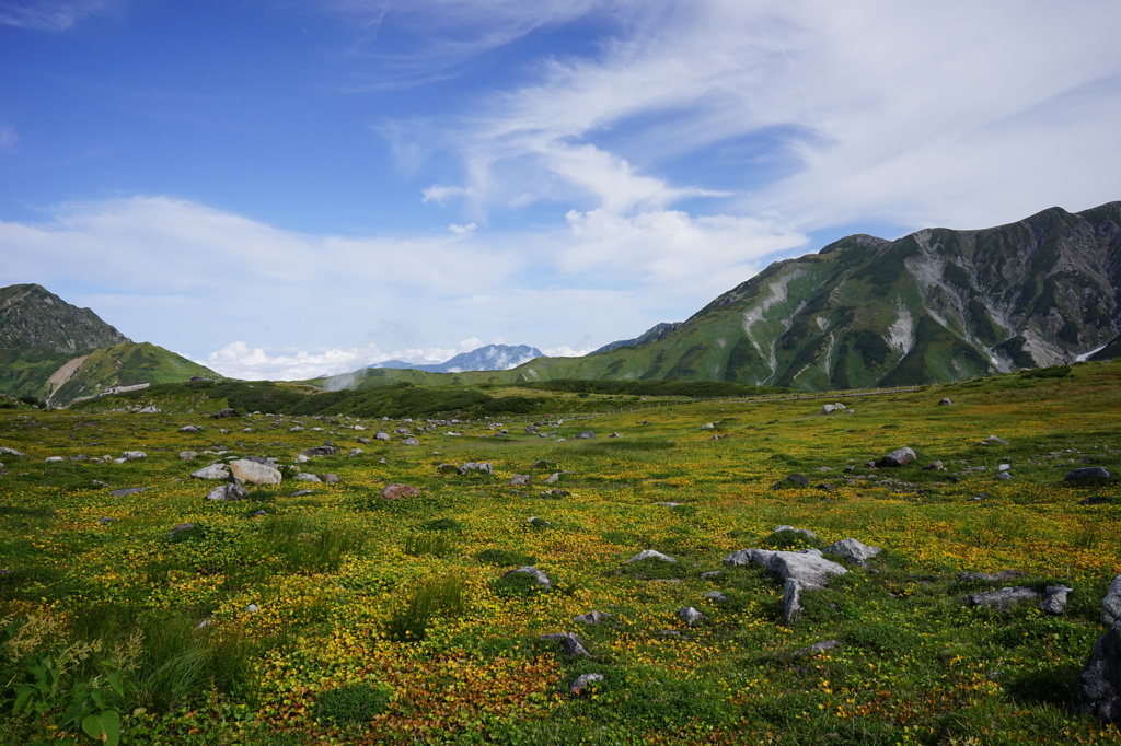 立山室堂