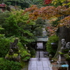  雨の那谷寺