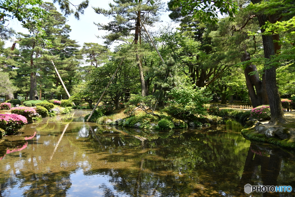 兼六園鶺鴒島