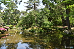 兼六園鶺鴒島
