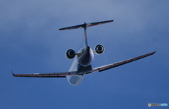 ANA 機2