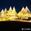  兼六園ライトアップ2