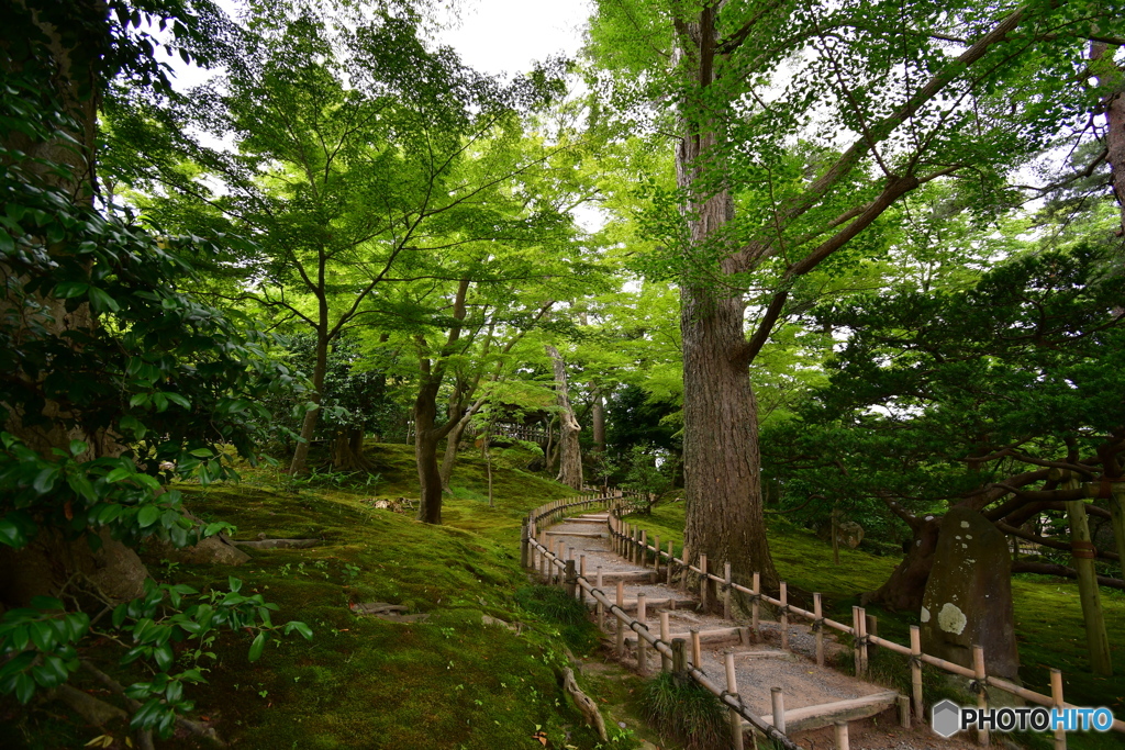  兼六園山崎山