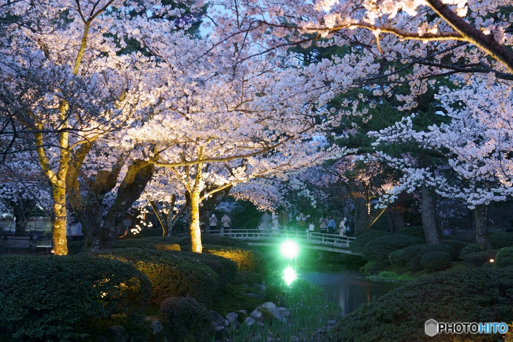 兼六園花見橋