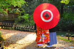兼六園秋の日