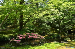 兼六園山崎山