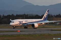 787