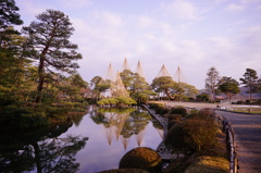 兼六園唐崎松