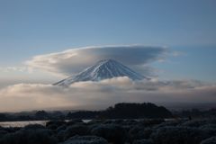 日本一の日傘