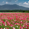 花の都公園