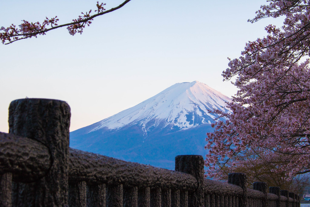 富士山