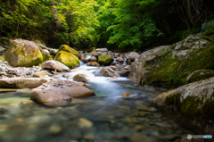 透き通った水