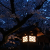 武田神社