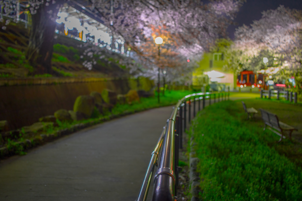 田舎の駅の桜