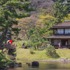 日本の風景－三溪園