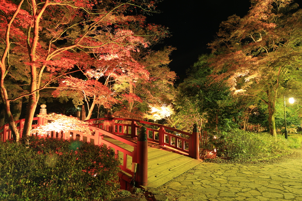 熱海梅園　紅葉ライトアップ　まだ少し早かったけど