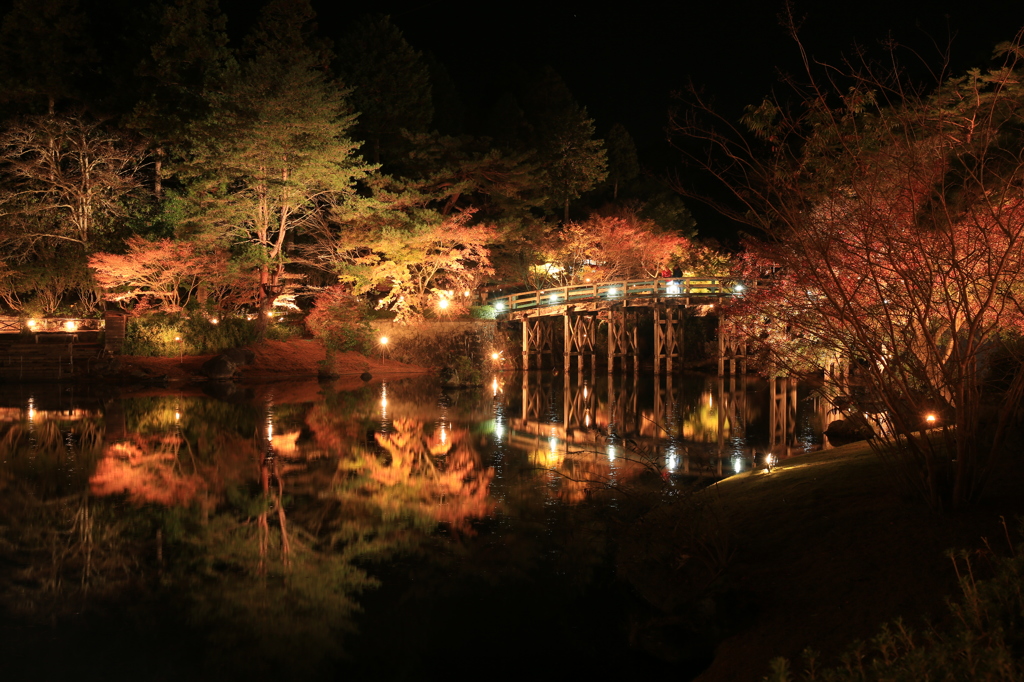 修善寺虹の郷　紅葉ライトアップにて②