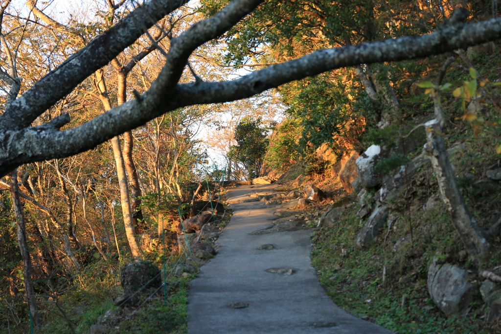 秋の山道