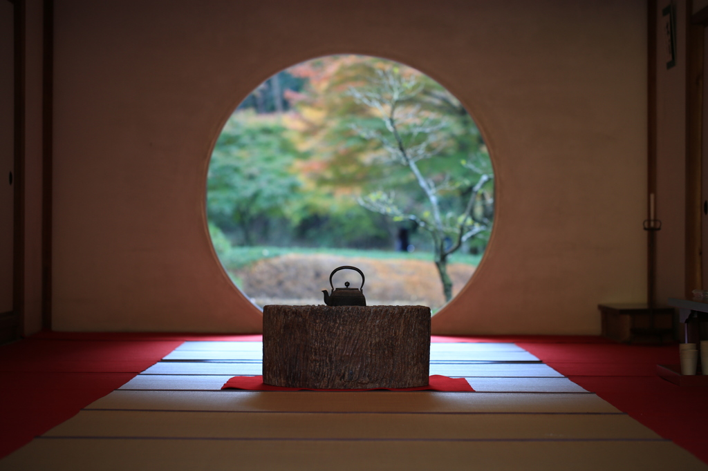 明月院×紅葉