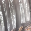 hike