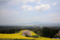 白木峰高原