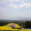 白木峰高原