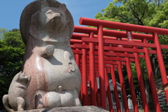 屋島のたぬきさま